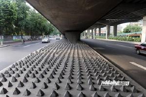 廣州天橋水泥錐事件 廣州天橋水泥錐事件