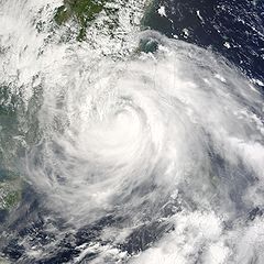 颱風杜鵑（0313）