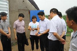 城東村[福建三明市清流縣龍津鎮下轄村]