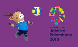 2018年亞運會女排賽 2018年亞運會女排賽