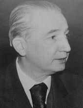 多布里沃耶&middot;維迪奇