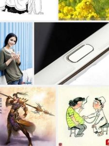 不以一眚掩大德 不以一眚掩大德