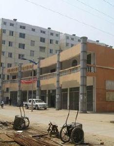 岱山街道辦事處 岱山街道辦事處