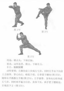 警衛拳 警衛拳
