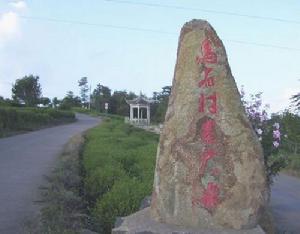 磐安烏石村 磐安烏石村