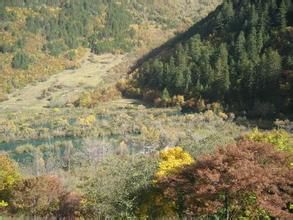 則查窪溝區段 則查窪溝區段