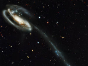 引力強大的黑洞