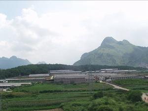柳城縣天福種豬場 柳城縣天福種豬場
