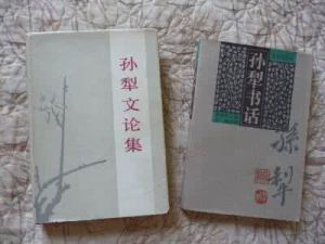 《孫犁文論集》 《孫犁文論集》