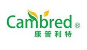 康普利特 康普利特