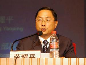 2006年信產部副部長蔣耀平做主旨報告
