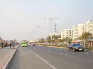 金安華城 金安華城