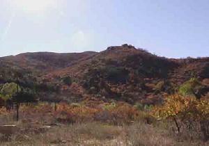 努魯兒虎山國家級自然保護區