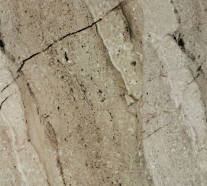 撤丁碩石紋 | Breccia Sarda |