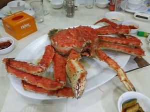 亞拉斯加長腳蟹 亞拉斯加長腳蟹