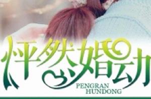 怦然婚動[薇子的小說作品]