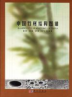 中國竹材結構圖譜 中國竹材結構圖譜