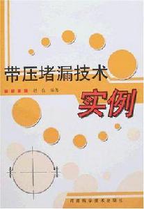 帶壓堵漏技術實例 帶壓堵漏技術實例