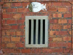 蝴蝶鳳梨---福旺雙至