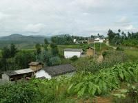 樂寨自然村 樂寨自然村