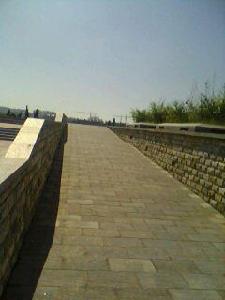 臧家村[山東煙臺市海陽區下轄村]