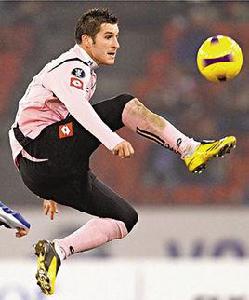 費沙·金寶 費沙·金寶