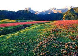巴音溝烏拉斯颱風景區 巴音溝烏拉斯颱風景區