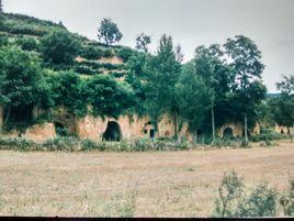 淳耀縣委 淳耀縣委