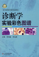 《診斷學實驗彩色圖譜》