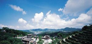 東部華僑城茶溪谷 東部華僑城茶溪谷