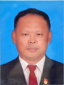 武靜[中共子洲縣縣委常委、縣人民政府副縣長]