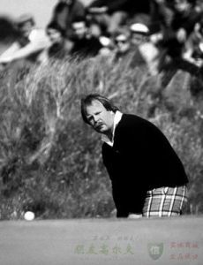 斯坦德勒 斯坦德勒