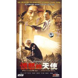 憤怒的天使(10DVD) 憤怒的天使(10DVD)