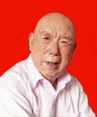 王治國[原湖南省顧問委員會副主任]