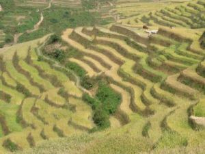 崩龍田自然村 崩龍田自然村