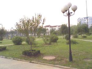 （圖）高密市康成中學