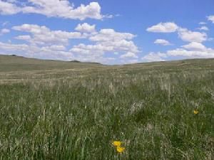 石洞溝鄉 石洞溝鄉