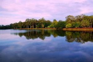 洞里薩湖 洞里薩湖