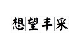 想望丰采 想望丰采