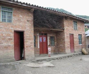 小牛井節自然村 小牛井節自然村