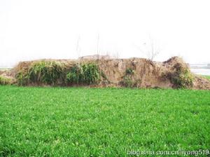 東垣故城垣夯土台