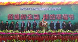 草莓採摘節 草莓採摘節