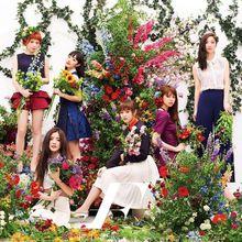 植物圖鑑[日本2017年岩田剛典、高畑充希主演電影]