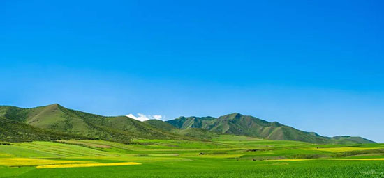 等一個人,陪我去張掖。