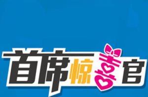 首席驚喜官 首席驚喜官