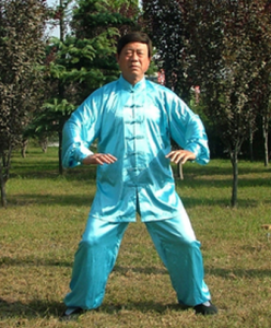 兩儀拳