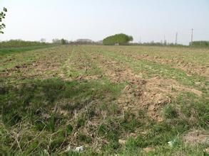 喬家窪村 喬家窪村