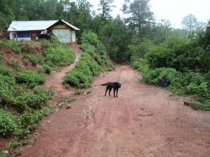 萬松庵自然村 萬松庵自然村