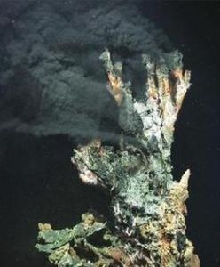 熱液硫化物 熱液硫化物