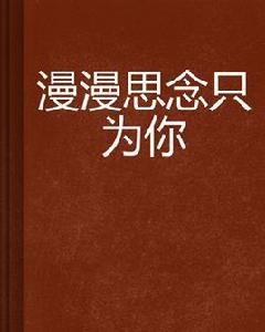 漫漫思念只為你